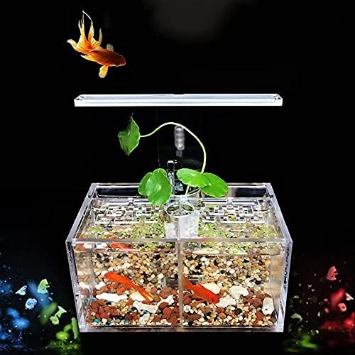 Wjccy akrilna izolaciona kutija bez rezervoara za ribu sa LED stolnom lampom Filter pumpe za vodu akvarijum Kancelarijska dekoracija