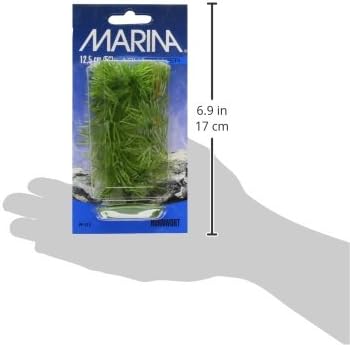 Marina Aquascaper Ukrasi Za Akvarijum, Fabrika Hornwart, 15 Inča