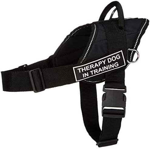 DT Fun radovi kabel, terapijski pas u treningu, crni sa reflektirajućom oblogom, srednje - odgovara veličina opsega: 28-inčni do 34-inčni
