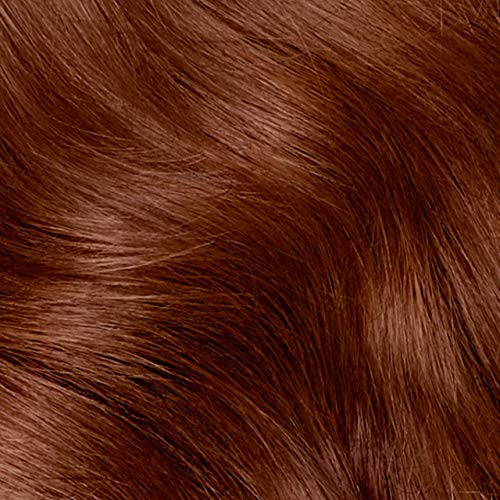 Clairol Prirodni instinkti Polu-stalna boja za kosu, 6,5R Light Auburn Boja kose, 3 Broj