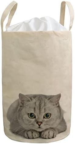 Praonica rublja košara srušena prekrasna slatka mačka siva mršava prljava odjeća Vodootporna torba za posteljinu organizator