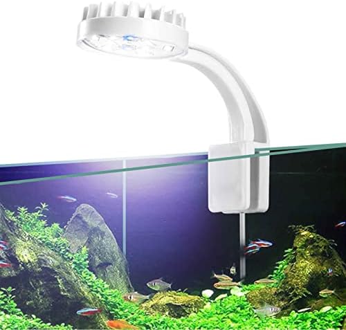 SILMOIRAN mala LED akvarijska lampa za akvarijum, 12 LED dioda, Bijela & amp; plava kopča na lampi za akvarijum za Nano rezervoar,