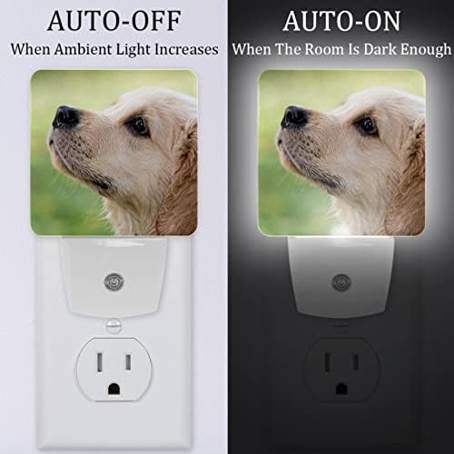 2 paketa toplo bijelo LED noćno svjetlo štene za pseće životinje sa senzorom sumraka do zore kompaktno noćno svjetlo idealno za rasadnik