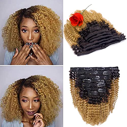 Afro Kinky Clip Ins Human Curly Hair Clip In Extensions 3C 4A 4b prirodni Afro Kinkys Curly Hair Extensions Clip In For Black Women