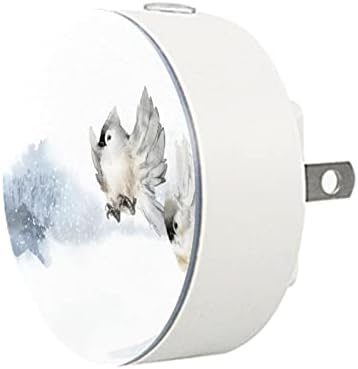 2 paketa Plug-in Nightlight LED noćno svjetlo sa senzorom sumraka do zore za dječiju sobu, rasadnik, kuhinju, hodnik akvarelne zimske