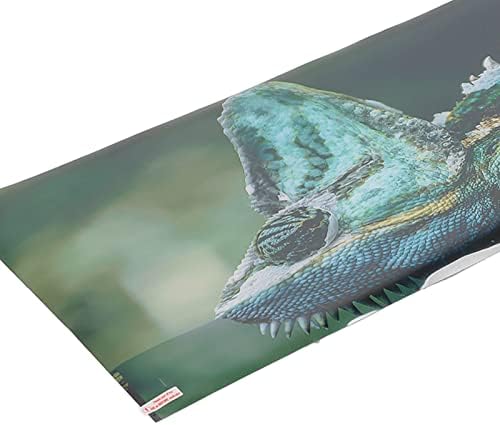 Gaeirt Fish Tank Pozadina, 3D efekti otpornost na trošenje višenamjenskih PVC materijala naljepnica akvarij za Aquascape