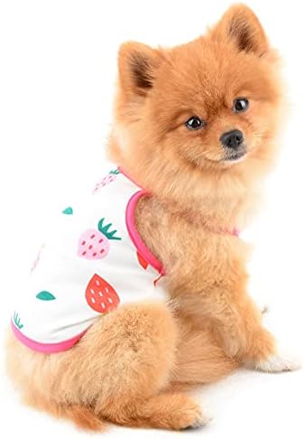 Smalllee_lucky_store kućna majica za majicu za voće 2 pakovanje Majica za malog psa Mačja dečko devojka bez rukava vest TOP ljetni