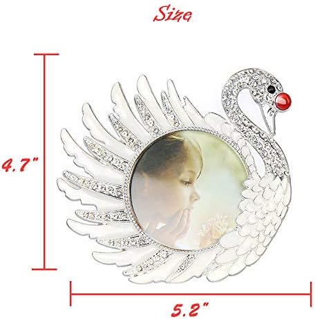 Yongyan Swan Metal 3x3 Dekoracija slike za tablica za gornji prikaz i stakleni okvir visoke rezolucije