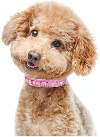 DHTDVD Personalizirani kožni ovratnik za pse kožni Rhinestone Bling Charms Custom Psi Dogs CAT Ime