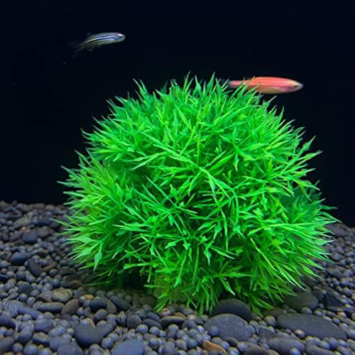 Ipetboom 2kom akvarijske biljke umjetne trave kugle plastične vodene biljke akvarijski ukrasi akvarijum akvarijum alge vodena trava