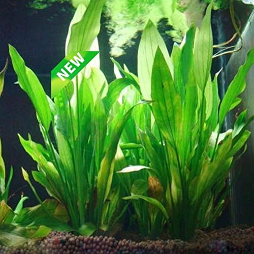 1pcs Umjetna plastična vodna biljka travna akvarij ukrasi postrojenja za ribu rezervoar trave cvijet ukras ukras vodeni akvarijumski